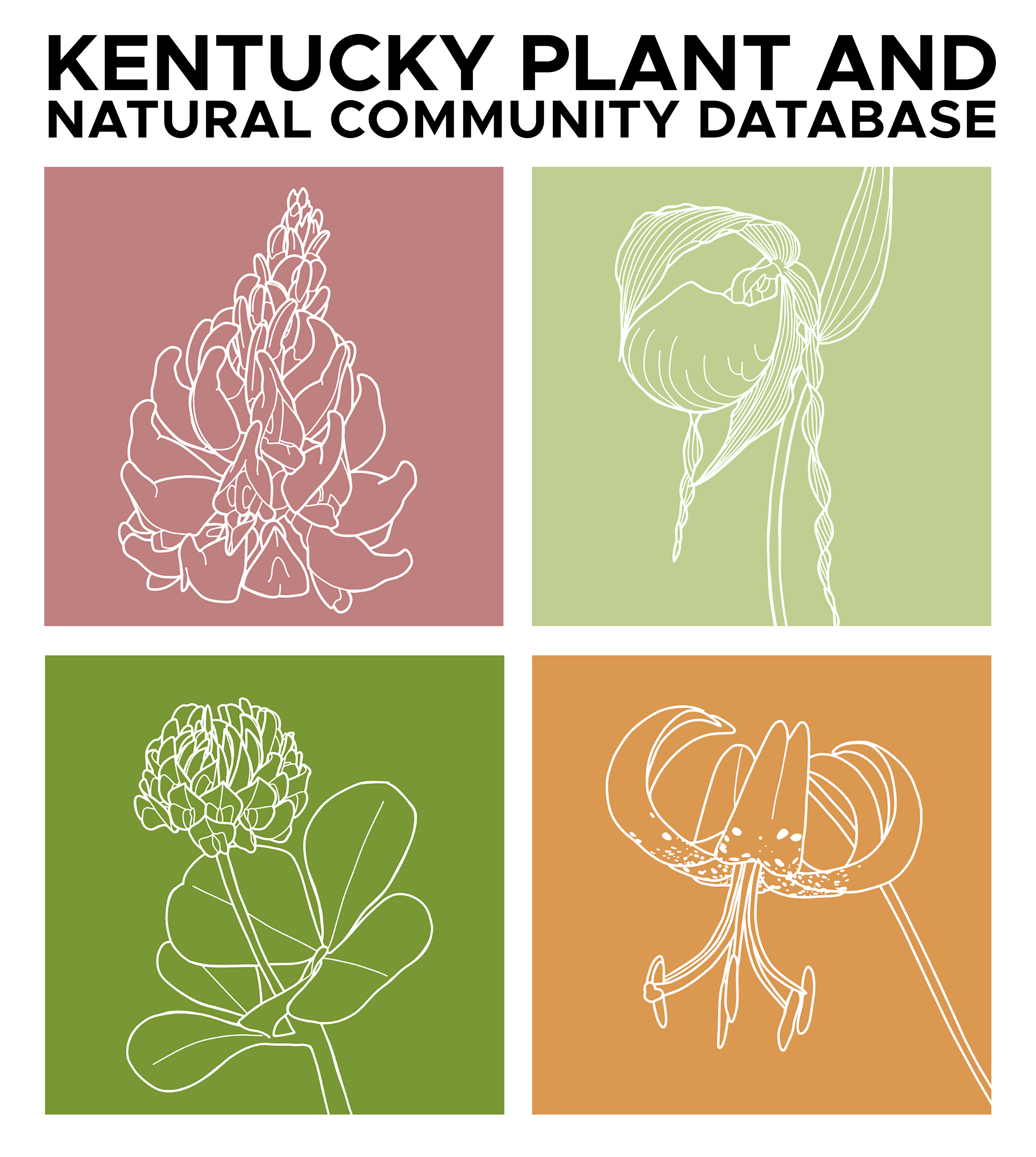 Pink, orange, green, and pale yellow logo with white line drawings of an orchid, liliy, pea, and clover flower